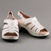 Bonavi бос/ж арт. 31W31-6-022 мол